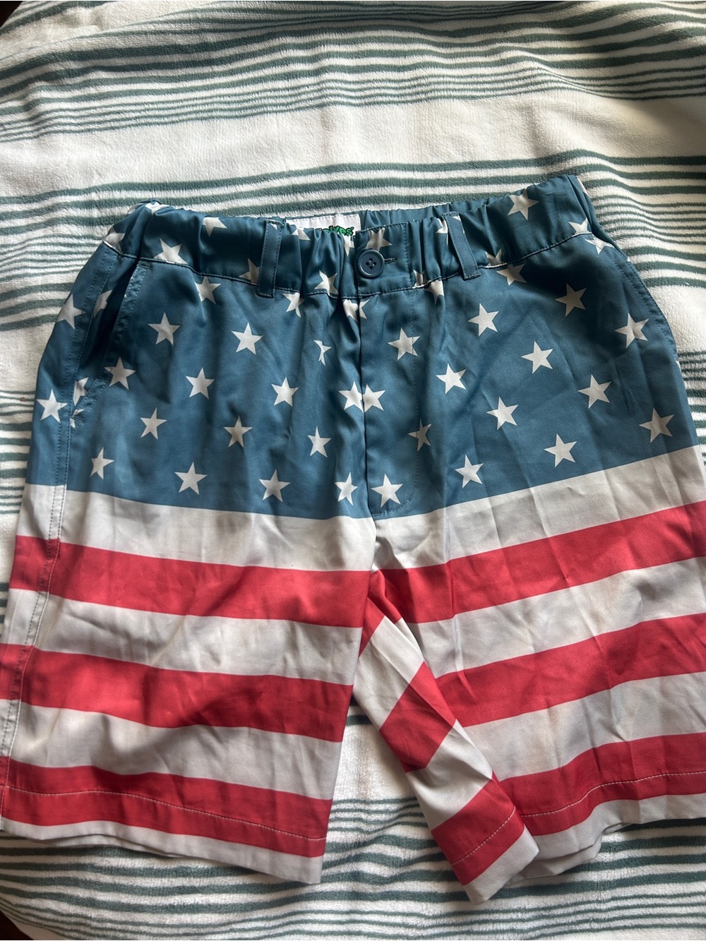 Tipsy Elves teal and yellow logo swim trunks